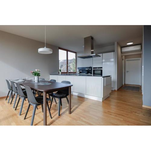 Fantastische Penthousewohnung mit 100 m2 klimatisiert