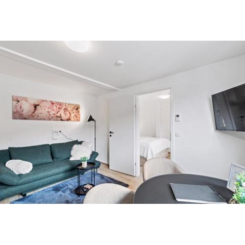 FarawayHomes Studio Leoben #P82