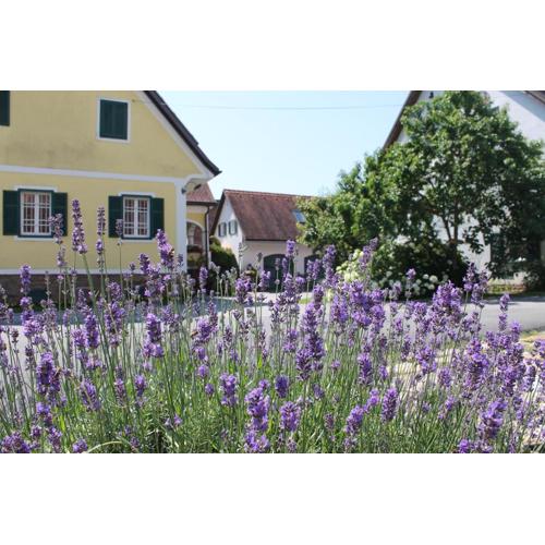 Farmer-Rabensteiner