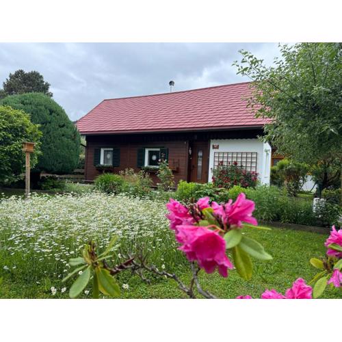 Ferienhaus - Senn-Inn im Zentrum von Schladming