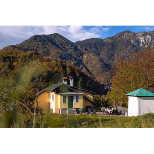 Ferienhaus Alexandra in Ebensee
