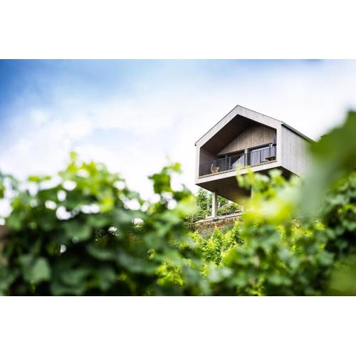 Ferienhaus Am Grassnitzberg