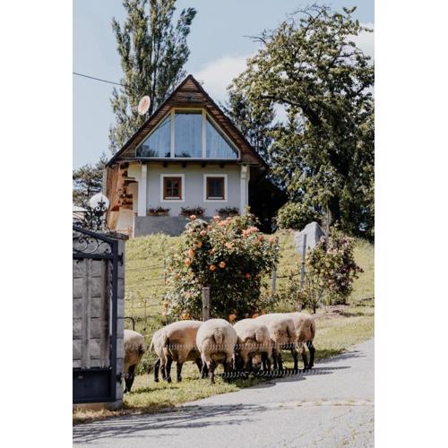Ferienhaus am HerbstHof