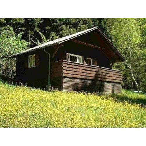Ferienhaus Arthurhütte in Hohenweiler