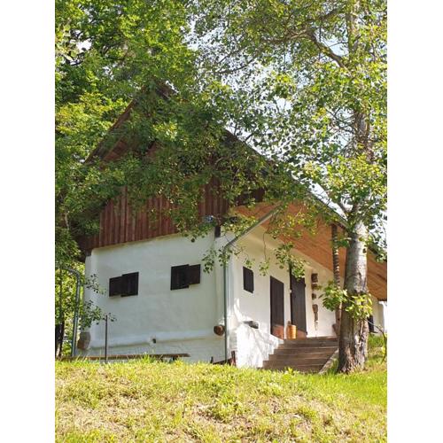 Ferienhaus Kellerstöckl Maja