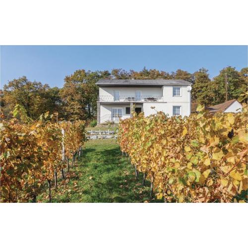 Ferienhaus Mit Panoramablick