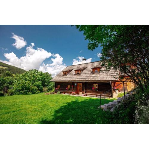 Ferienhaus Napoleonvilla In Rennweg Am Katschberg