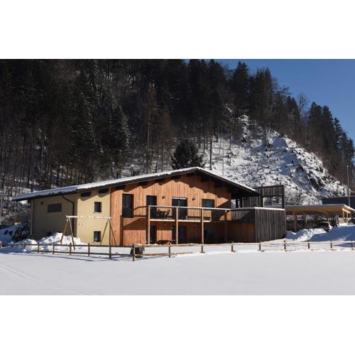 Ferienhaus Silber