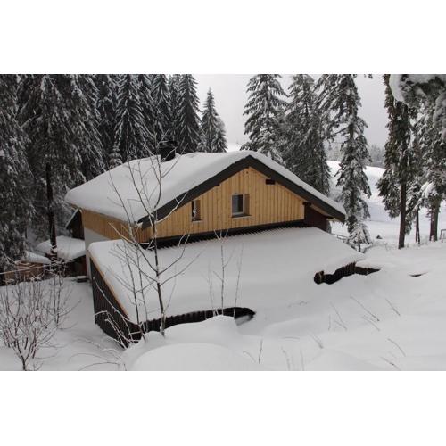 Ferienhaus Waldklause
