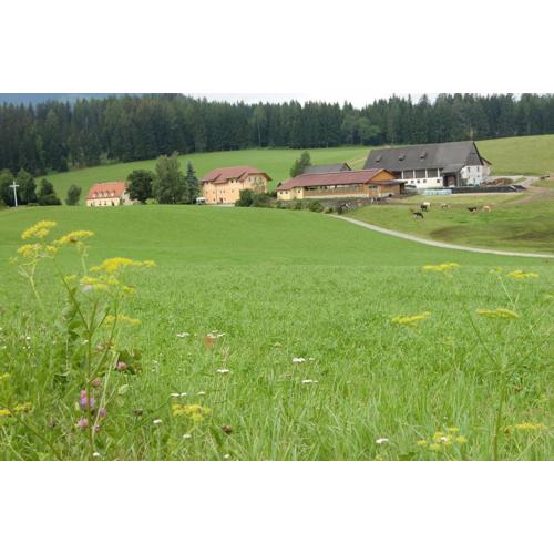 Ferienhaus Wohleser