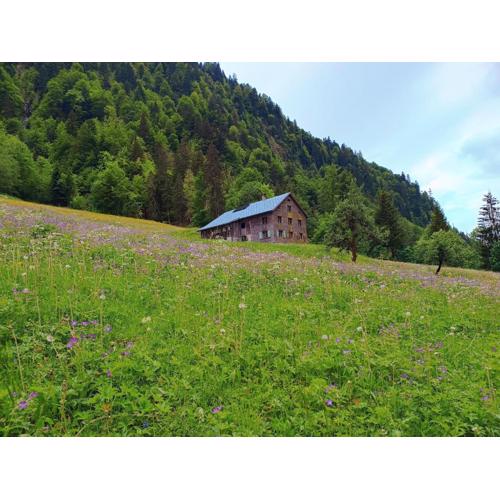 Ferienhütte See 4