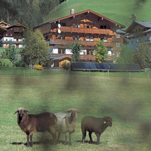 Ferienpension Senfter
