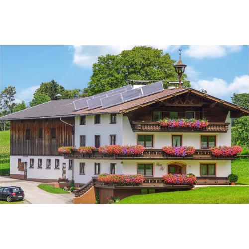 Ferienwohnung - Hochgallzein