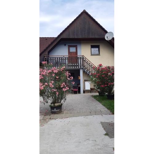Ferienwohnung 1 Jöbstl