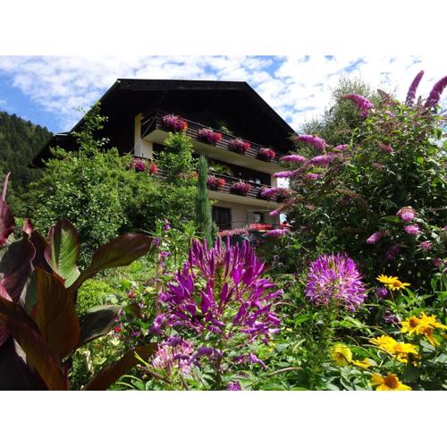 Ferienwohnung Anemoon In Millstatt