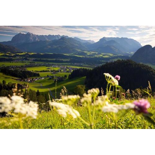 Ferienwohnung Bergblick
