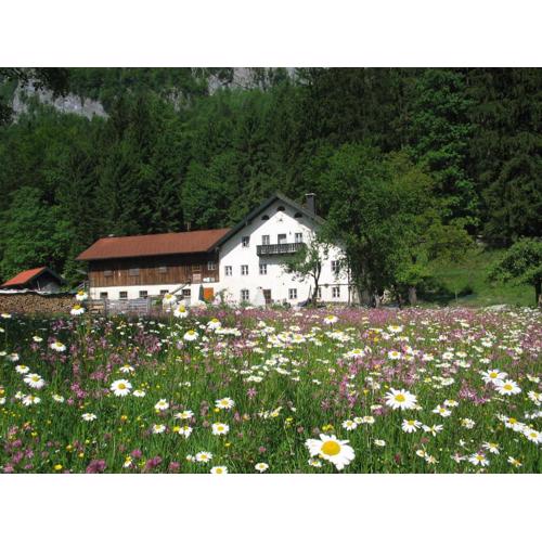Ferienwohnung Bluntaumühle