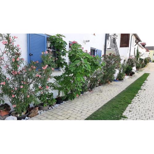 Ferienwohnung Casa Maya