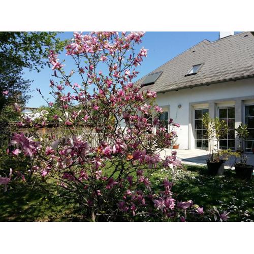 Ferienwohnung Heider