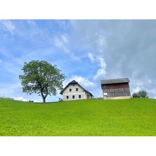 Ferienwohnung Hochtal