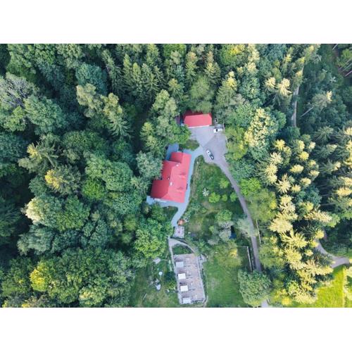 Ferienwohnung Huskyhausen - Schlittenhunde Erlebnisse & Urlaub mitten in der Natur!