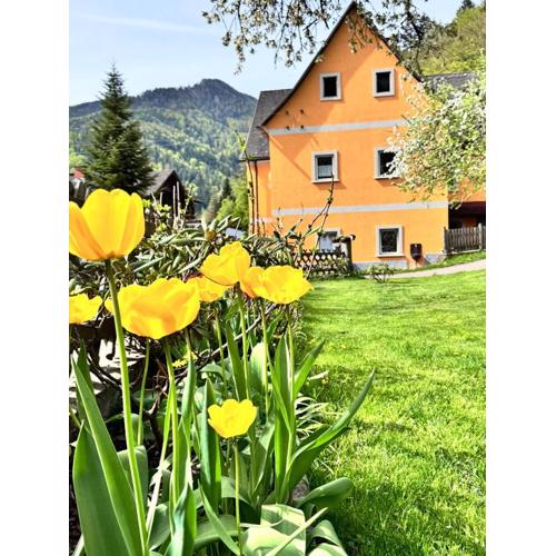 Ferienwohnung-Mixnitz-Bärenschützklamm 3