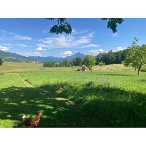 Ferienwohnung Mondsee-Irrsee