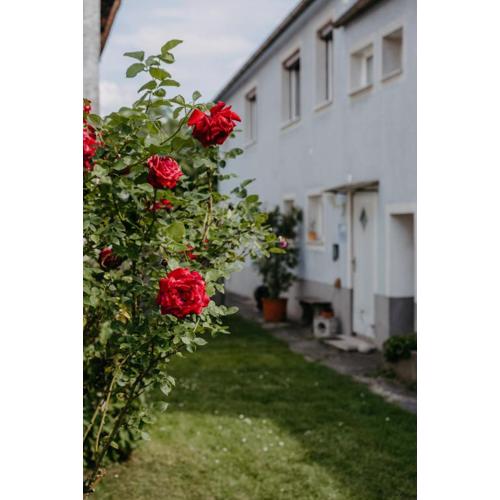 Ferienwohnung Morgensonne