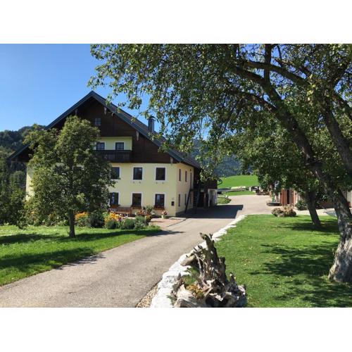 Ferienwohnung Radauer