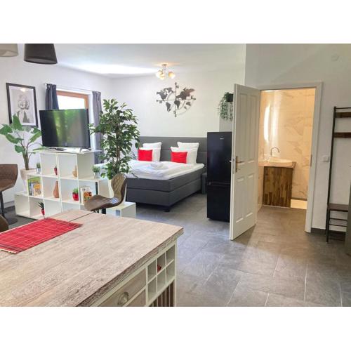 Ferienwohnung Studio Seebrauer In Feld Am See