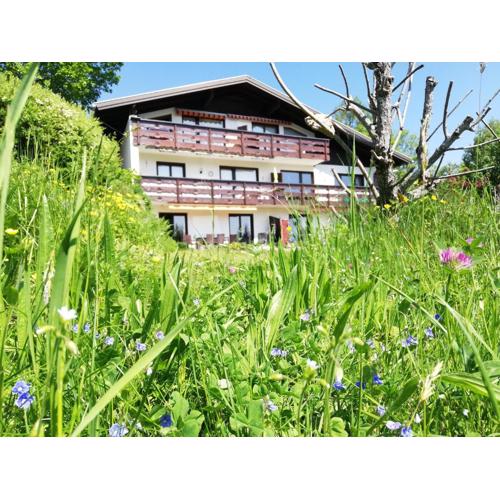 Ferienwohnung Tschengla mit eigener Sonnenterrasse - Wiese - Wlan - Netflix