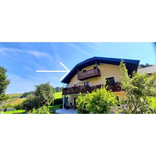 Ferienwohnung zum IRRSEE 79 Mondseeland