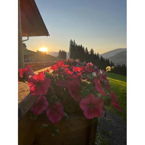 Ferienwohnungen Krapfenalm