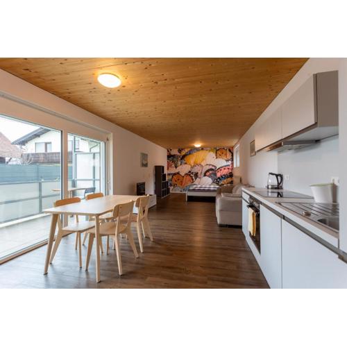 FLEXhome your central, calm and cosy place in Dornbirn