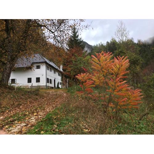 Forsthaus Gut Traunfried
