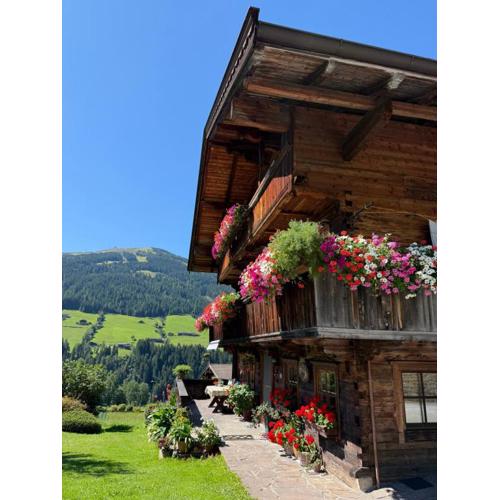 Fürstenhäusl Alpbach - GREEN Apartments & Studio