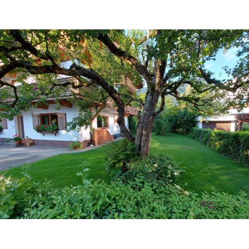 Gartenwohnung Ritter