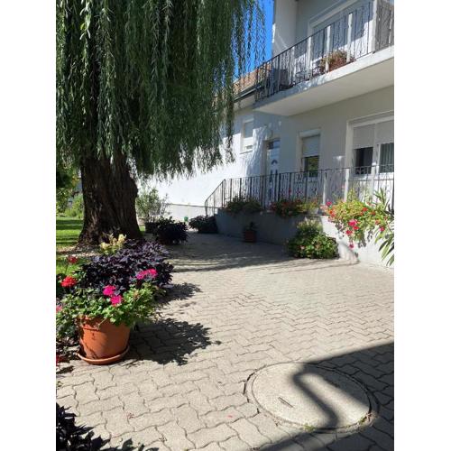 Gästehaus & Weingut Klein