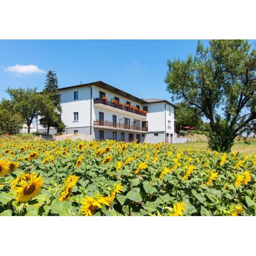 Gasthof-Pension Wein