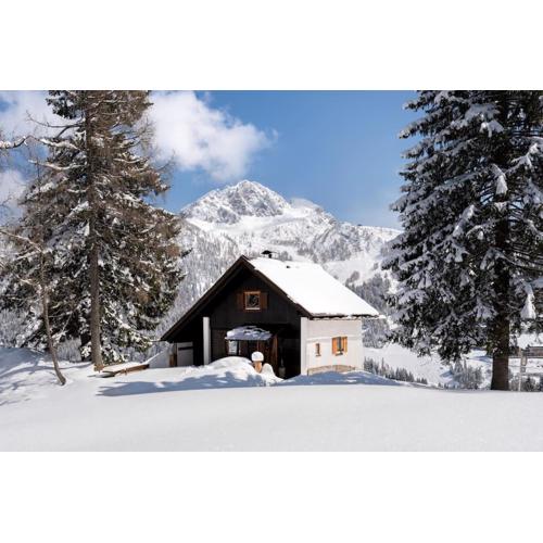 Gemütliche Skihütte an der Piste Ski-in & Ski-out