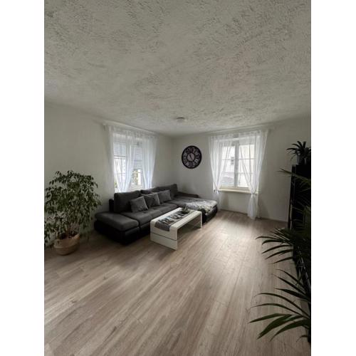 Gemütliche Wohnung in zentraler Lage