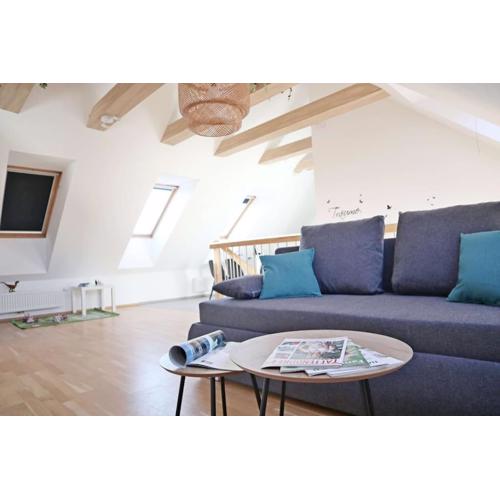 geräumige Dachgeschoßwohnung