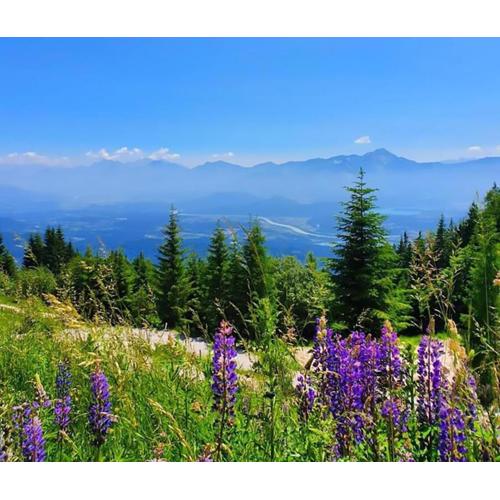 Gerlitzen Berg- und Seenurlaub