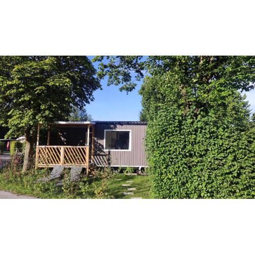 Glamping Wallersee - Unter dem Kastanienbaum