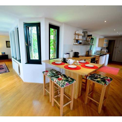 Green haven roofgarden penthouse in central area
