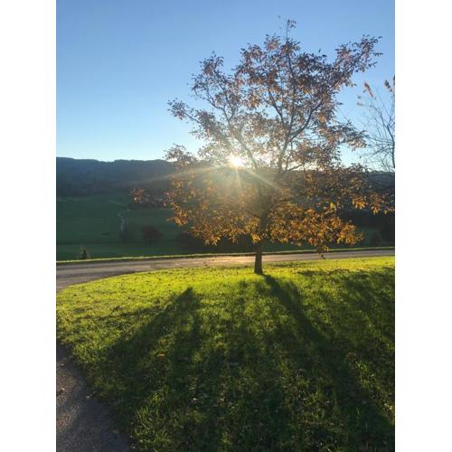 Haunsbergblick