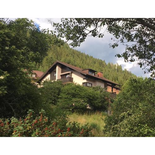 Haus Agnes, Murau