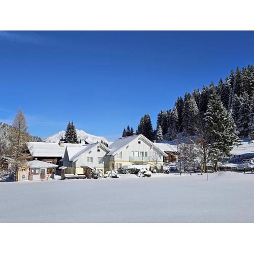 Haus Capricorn - Garten Appartement - Bergdorf Gargellen 1423m