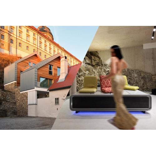 Haus Fünf mit 2 Apartments und Studio-Loft mit Terrasse