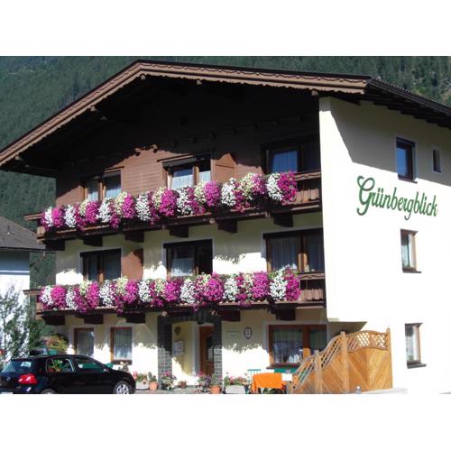 Haus Grünbergblick